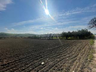 Terreno agricolo in vendita a san salvo 