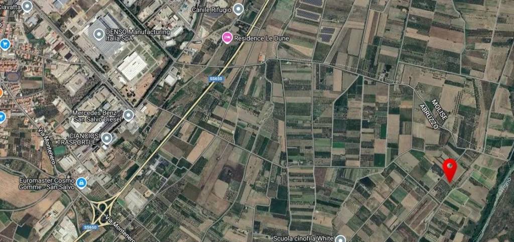 immagine annuncio 4 di 6
