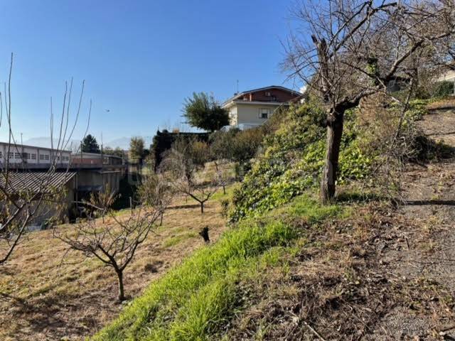 immagine annuncio 3 di 12
