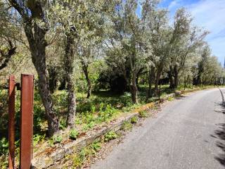 Terreno agricolo in vendita a palermo salita caputo