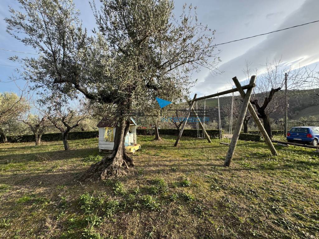 immagine annuncio 14 di 15