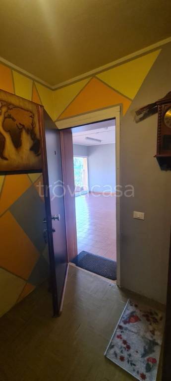 immagine annuncio 9 di 12