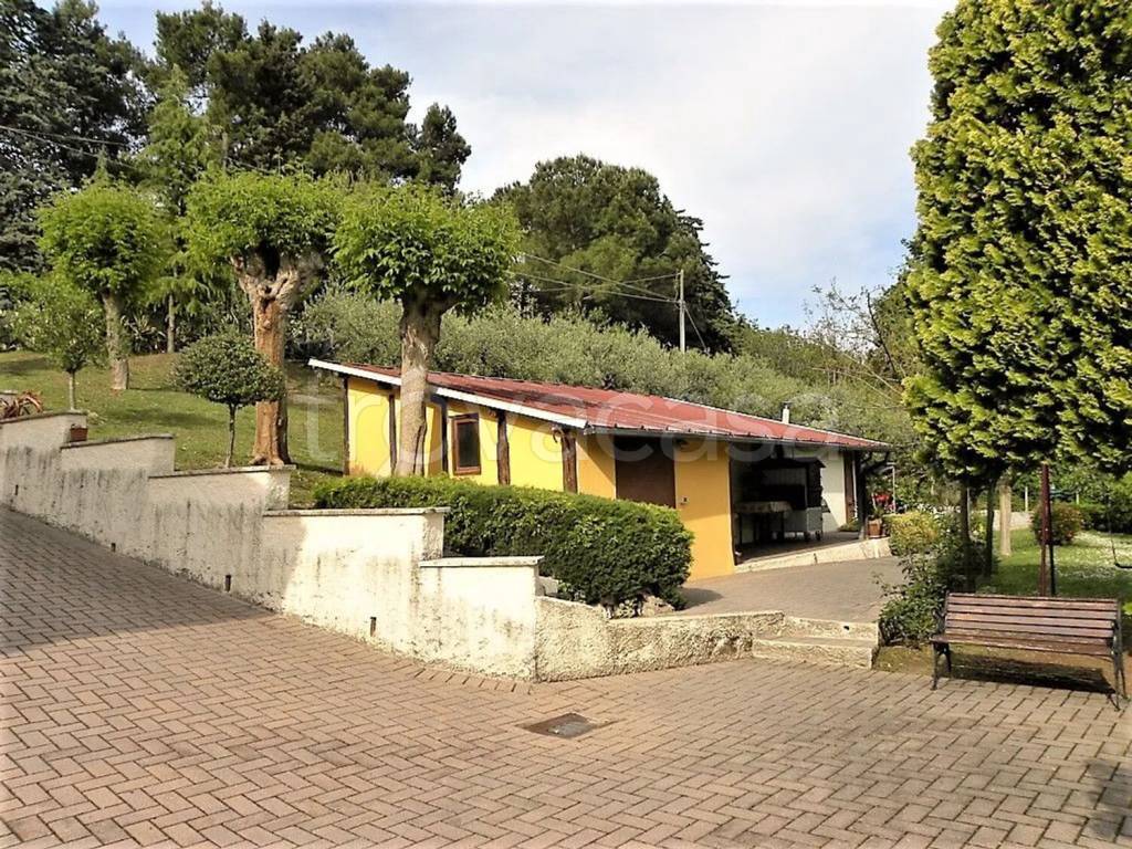 immagine annuncio 7 di 15