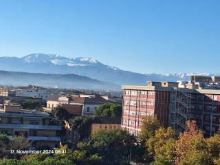 Appartamento in in affitto da privato a pescara via caduti di nassirya, 6