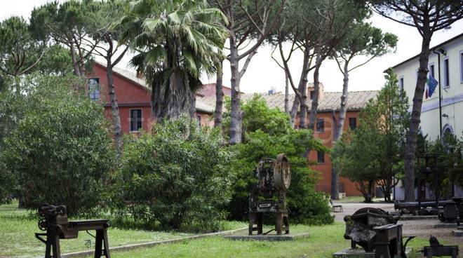 immagine annuncio 1 di 4