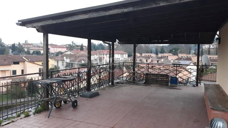 immagine annuncio 3 di 12