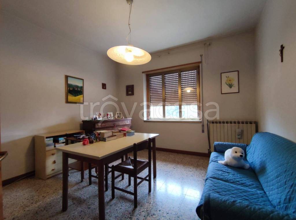 immagine annuncio 5 di 12
