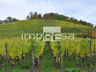 Terreno agricolo in vendita a valdobbiadene 