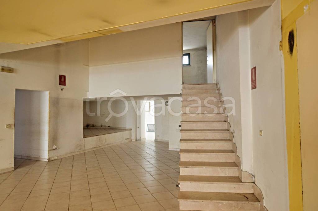 immagine annuncio 10 di 14