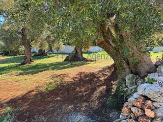 Terreno residenziale in vendita a carovigno 