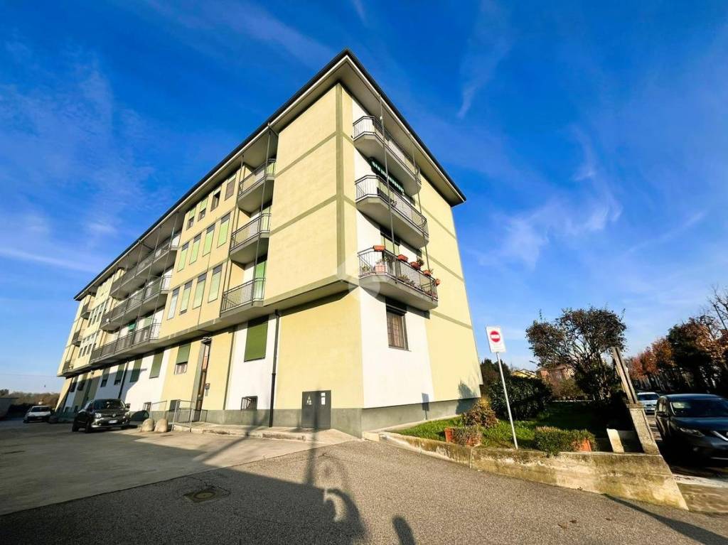 immagine annuncio 1 di 15