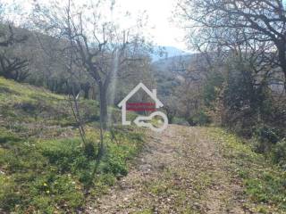 Terreno agricolo in vendita ad albanella via monte verde, 30