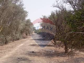 Terreno agricolo in vendita a comiso 