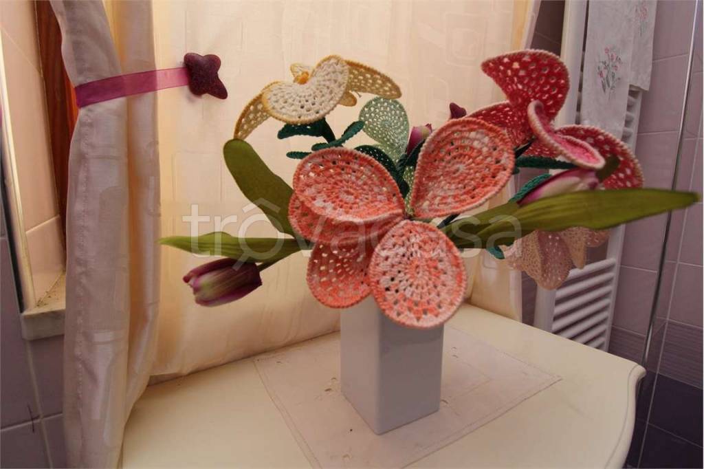 immagine annuncio 5 di 14