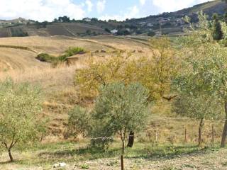 Terreno agricolo all'asta a enna contrada san giovannello suriano, n. snc