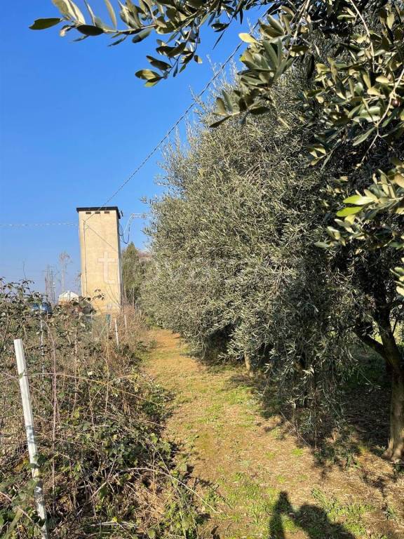 immagine annuncio 8 di 10