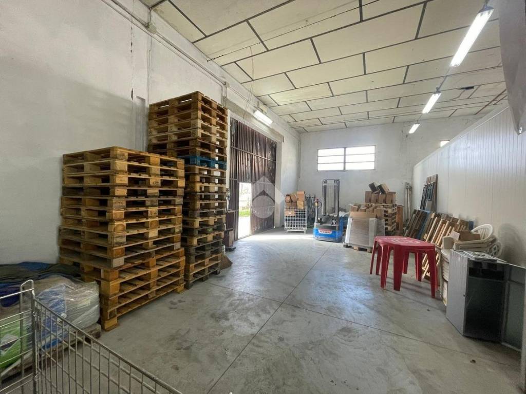 immagine annuncio 3 di 6