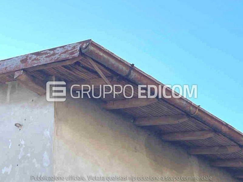 immagine annuncio 5 di 7