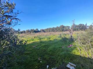 Terreno agricolo in vendita ad augusta strada statale orientale sicula