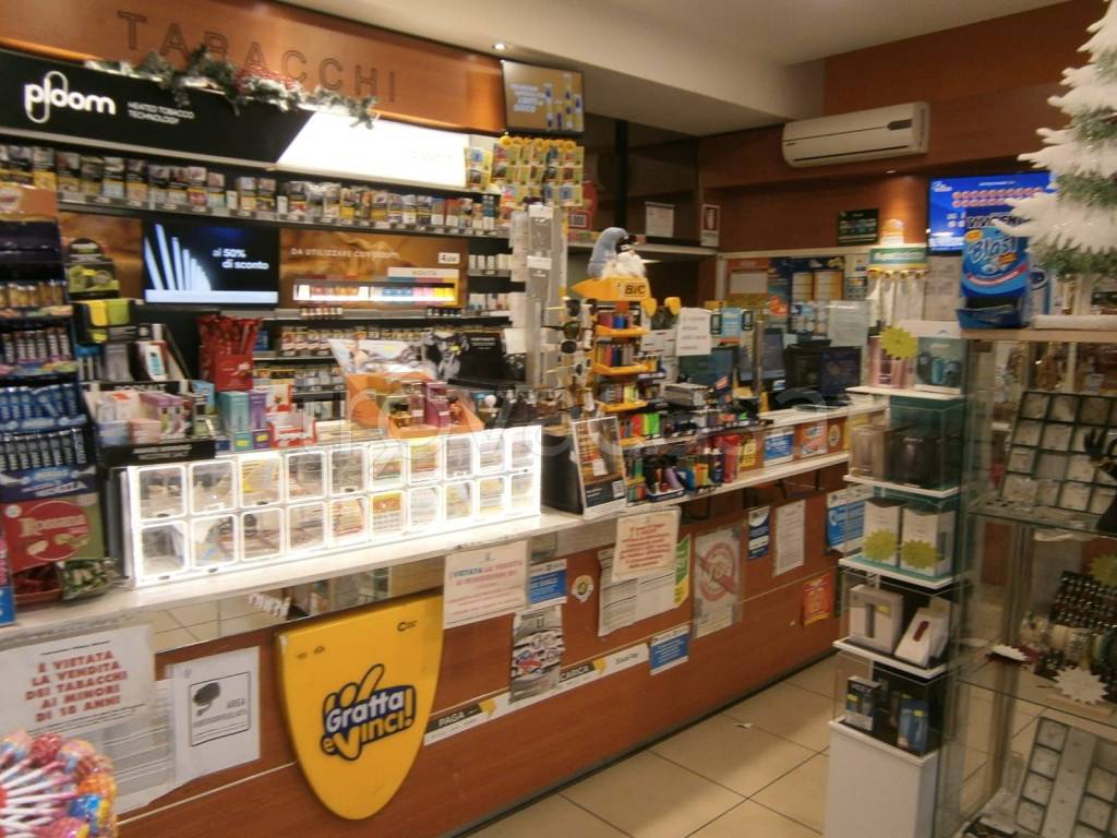 immagine annuncio 3 di 8