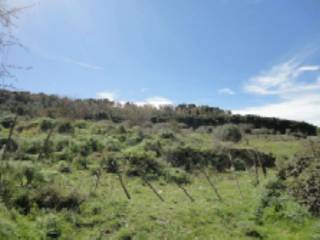 Terreno agricolo all'asta a barrafranca ss191