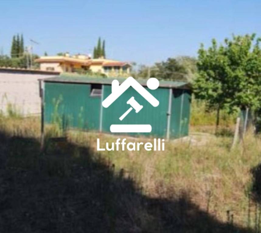 immagine annuncio 8 di 13