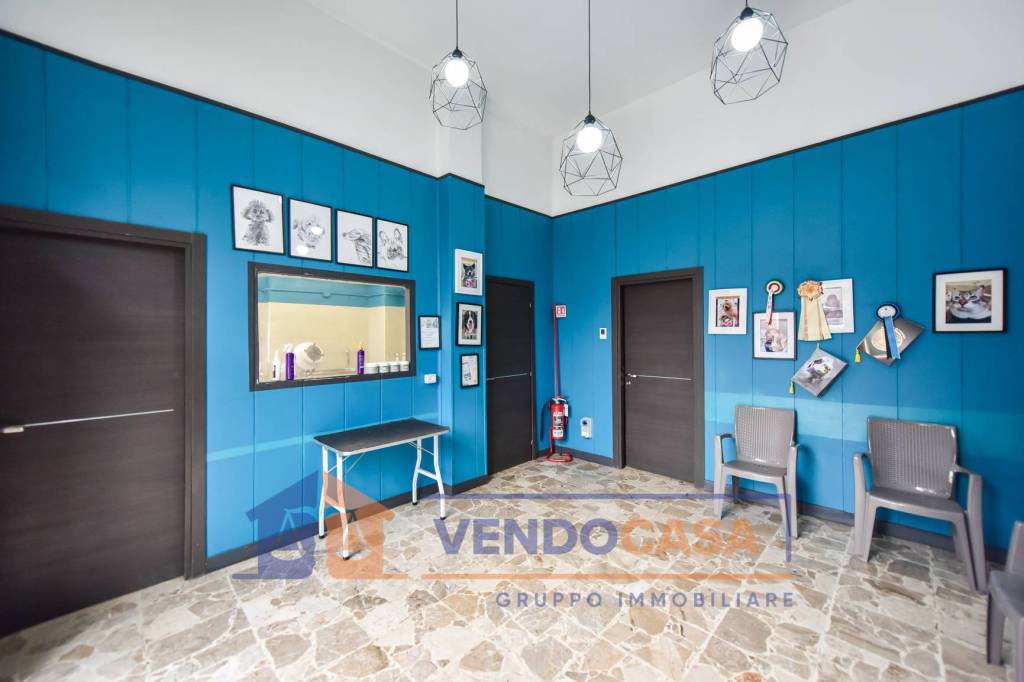 immagine annuncio 1 di 14