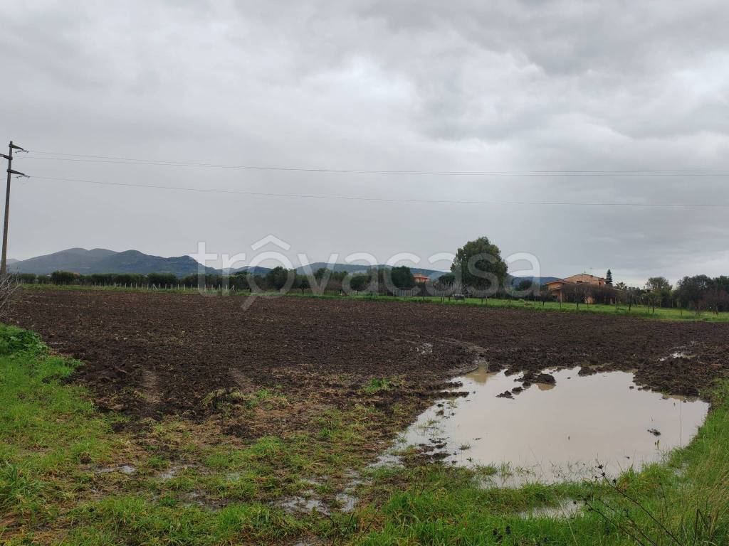 immagine annuncio 3 di 4