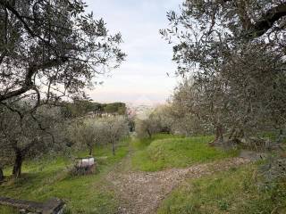 Terreno agricolo in vendita a quarrata via baronciatica, 39