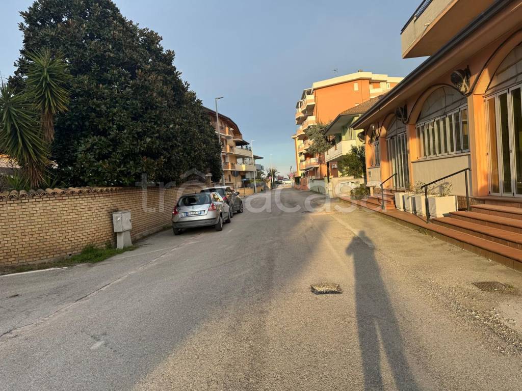 immagine annuncio 12 di 13