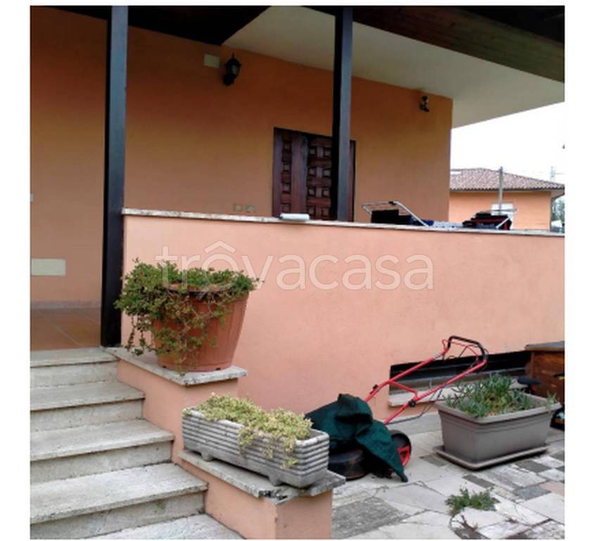 immagine annuncio 1 di 14