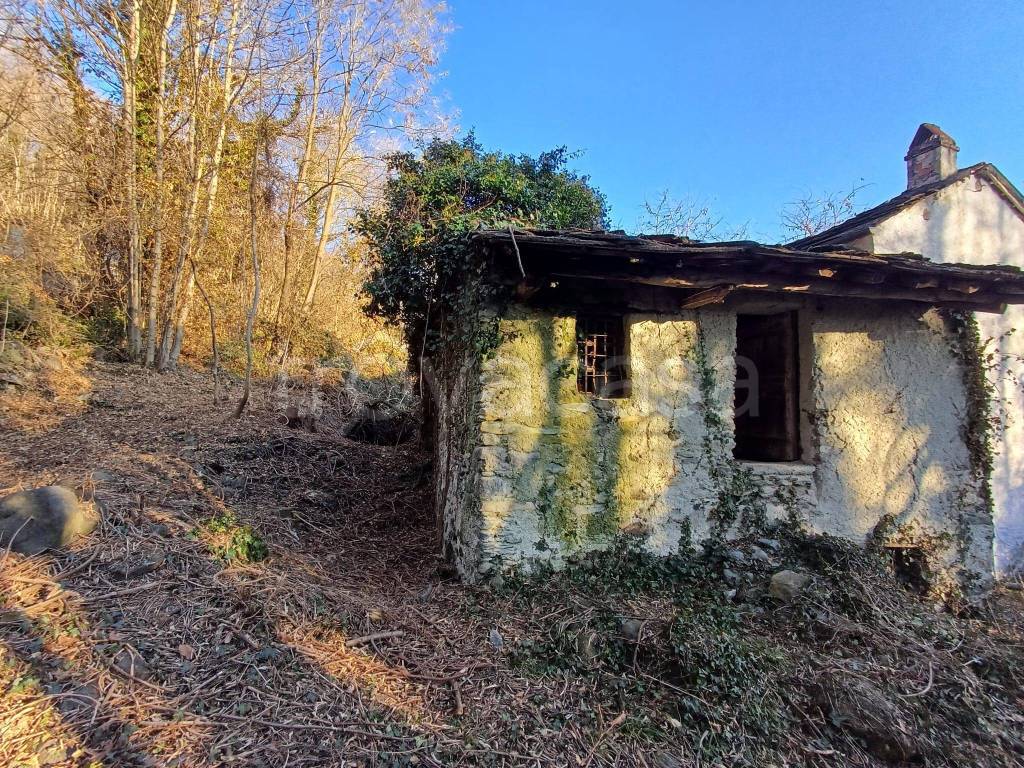 immagine annuncio 5 di 12