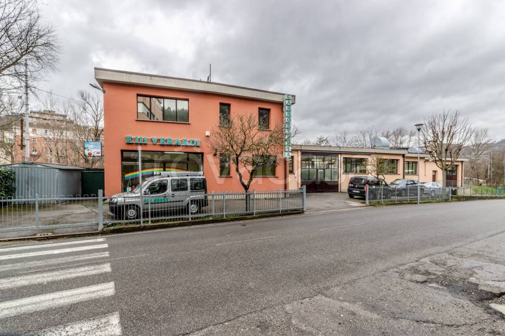 immagine annuncio 6 di 15