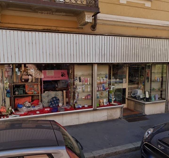 immagine annuncio 1 di 2