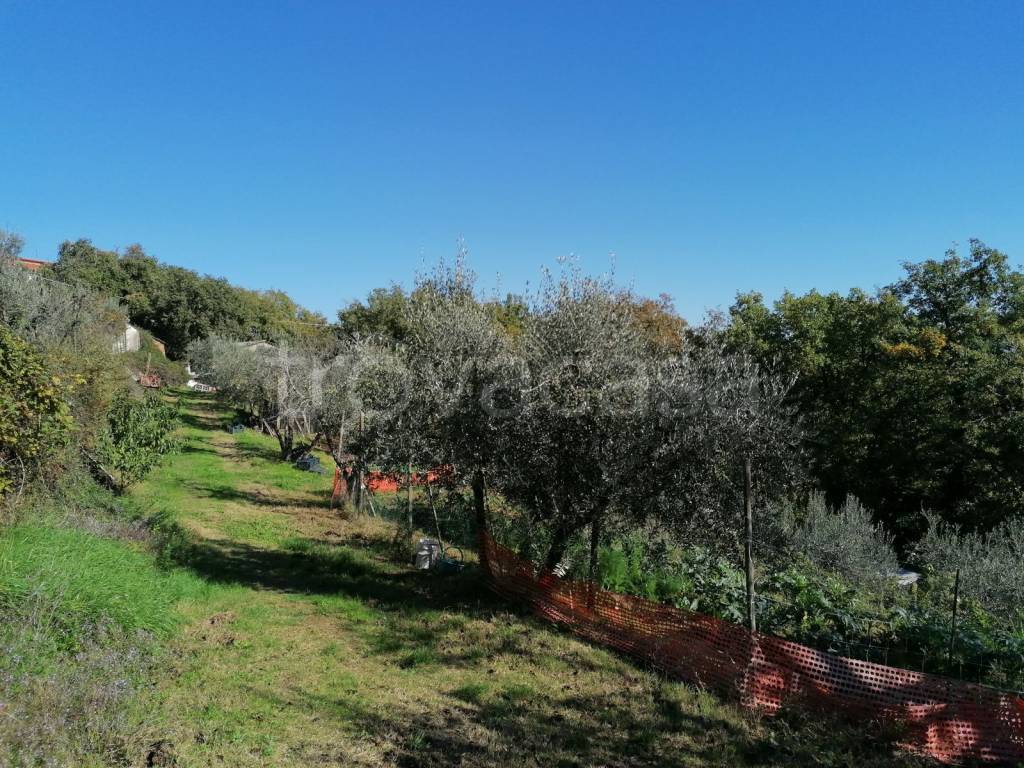 immagine annuncio 1 di 6