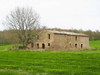 Terreno agricolo in vendita ad acquapendente località morello