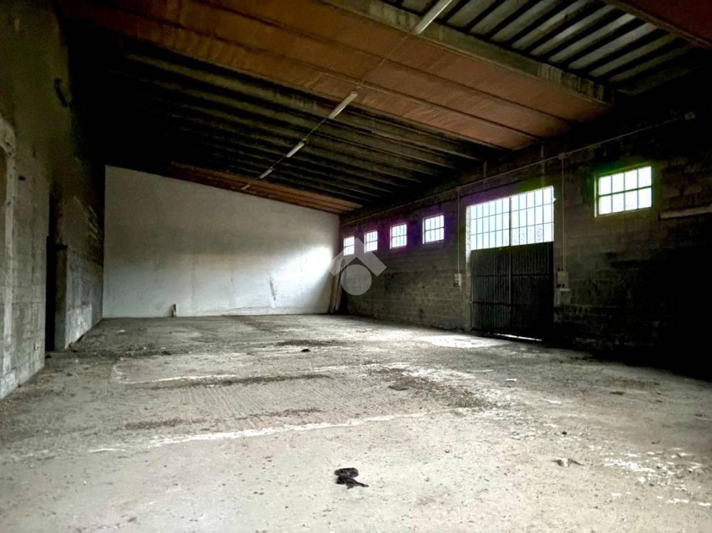 immagine annuncio 11 di 13