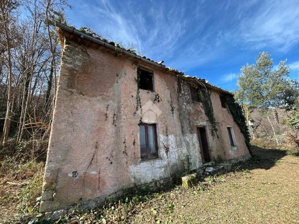 immagine annuncio 1 di 9