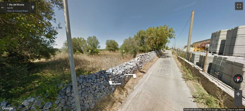 immagine annuncio 11 di 14