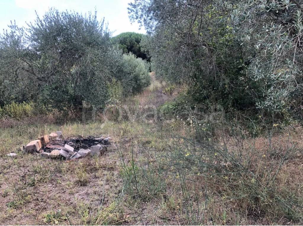 immagine annuncio 6 di 9