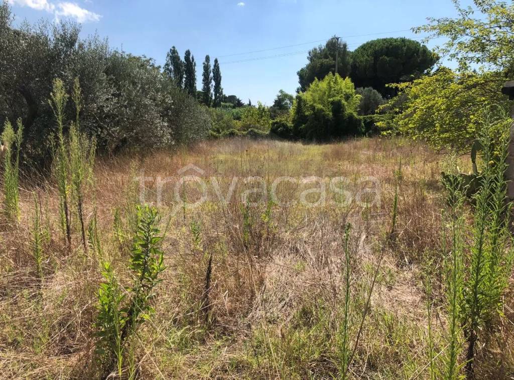 immagine annuncio 8 di 9
