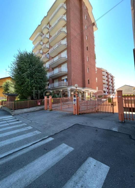 immagine annuncio 1 di 14