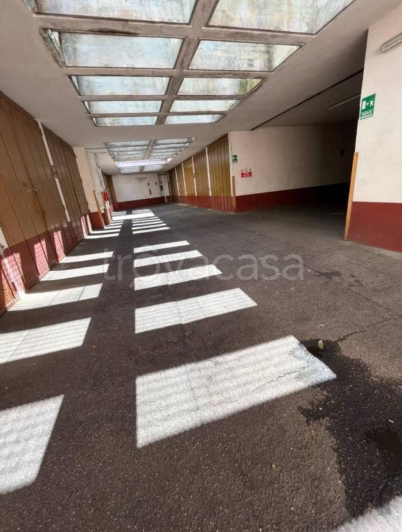 immagine annuncio 7 di 14
