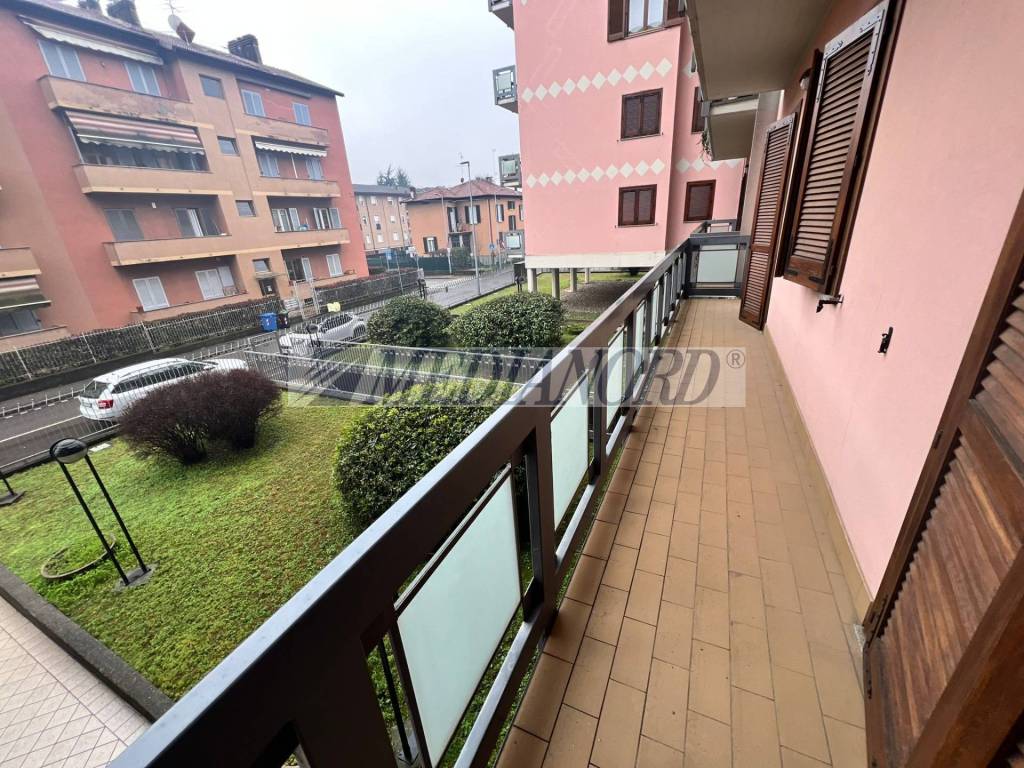 immagine annuncio 11 di 13