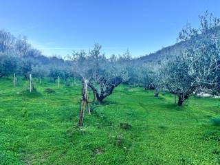 Terreno agricolo in vendita a posada ss131d.c.n.