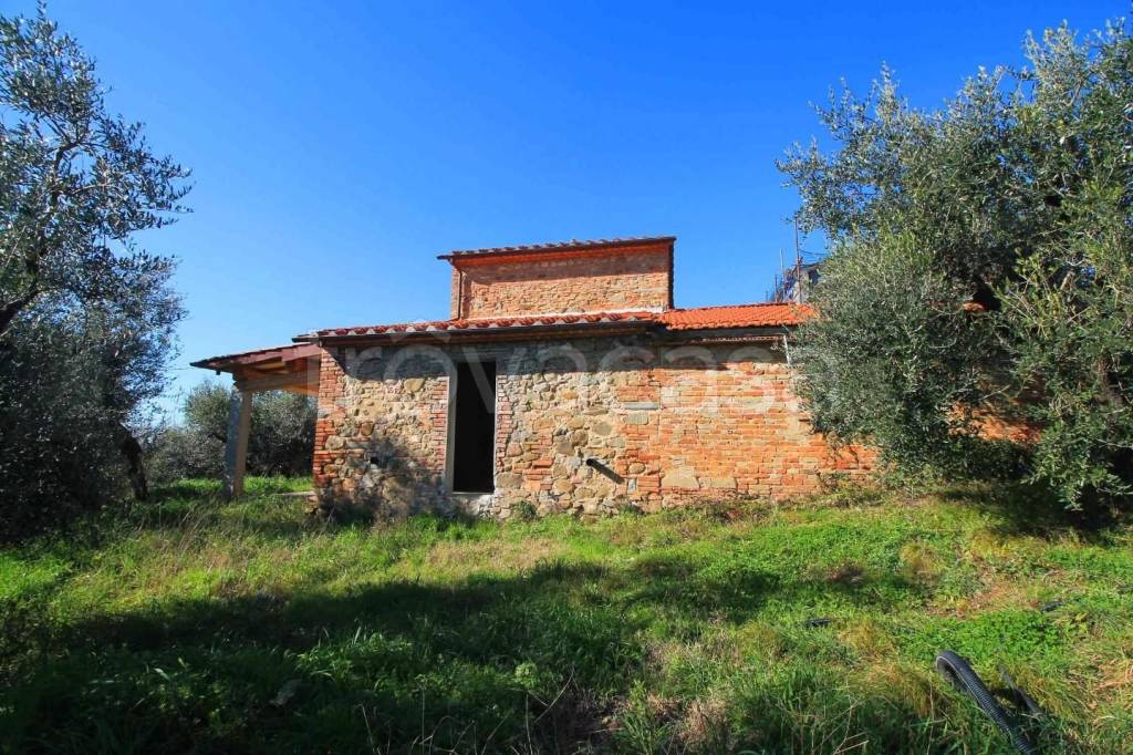 immagine annuncio 4 di 14