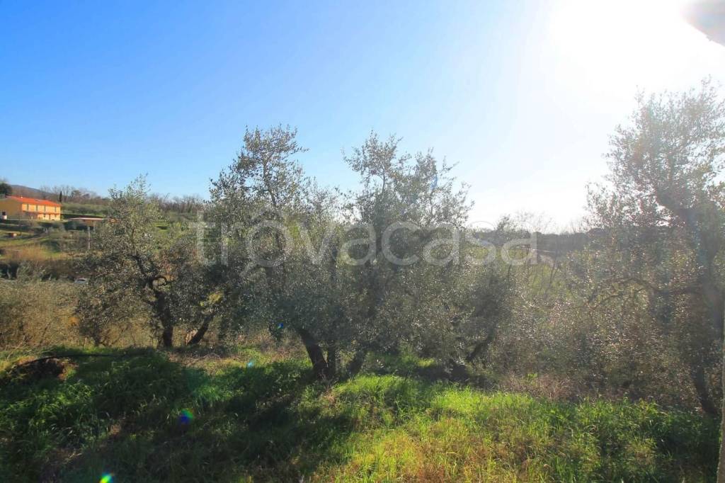 immagine annuncio 8 di 14