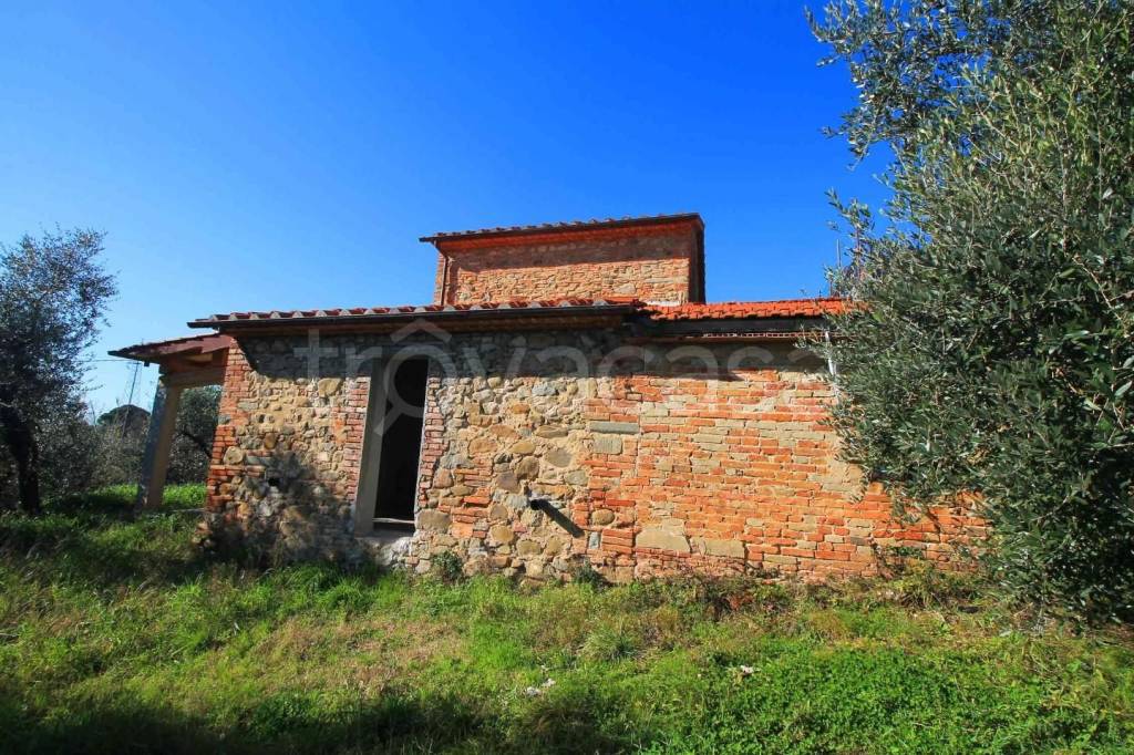 immagine annuncio 12 di 14