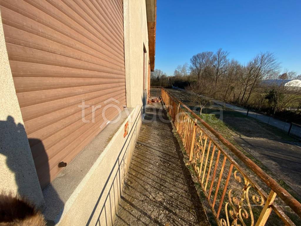 immagine annuncio 9 di 11