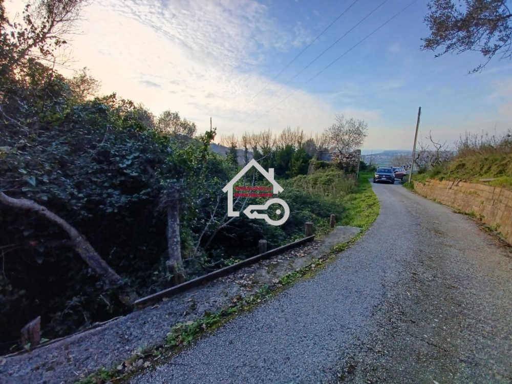 immagine annuncio 1 di 9